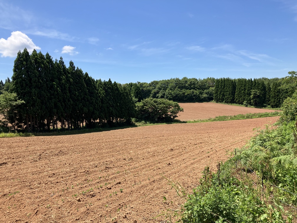輪島市門前町にある自社有機農場で採蜜しました。山奥にあるとても美しい自然環境です。<br><br>〇採蜜・写真提供：<a href="https://kanazawa8383.jp/" style="color:#068acc" target="new">金澤やまぎし養蜂場</a>さま