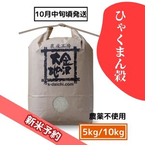 【R8新米予約】農薬不使用米 ひゃくまん穀 5kg/10kg《送料込》