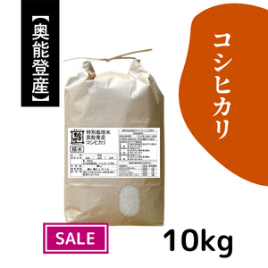 【20%オフ／R7年産】奥能登産 特別栽培米コシヒカリ 白米10kg《送料込》